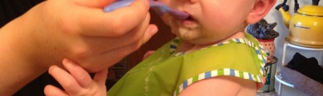Solid Food