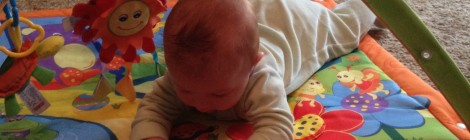 6 months old!