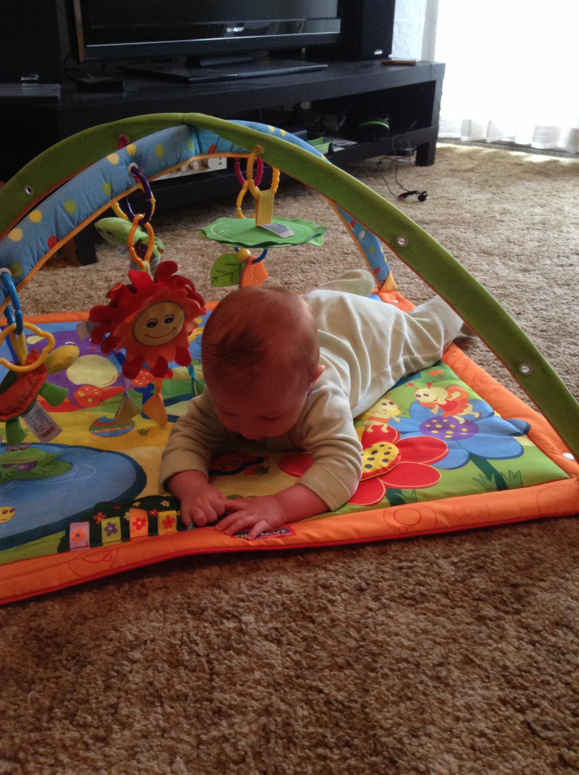 20130419-095423.jpg